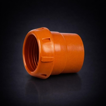 50 Mandallı Dişi Körtapa